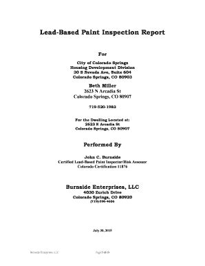 lead based paint report